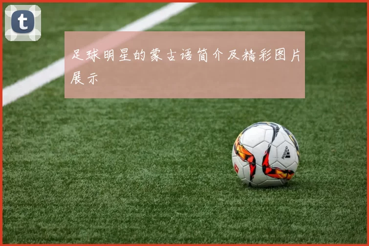 足球明星的蒙古语简介及精彩图片展示
