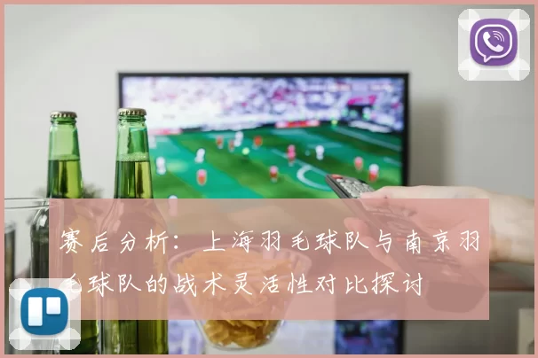 赛后分析：上海羽毛球队与南京羽毛球队的战术灵活性对比探讨