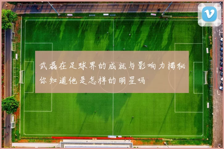 武磊在足球界的成就与影响力揭秘你知道他是怎样的明星吗