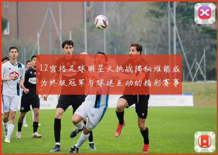 12宫格足球明星大挑战揭秘谁能成为终极冠军与球迷互动的精彩赛事