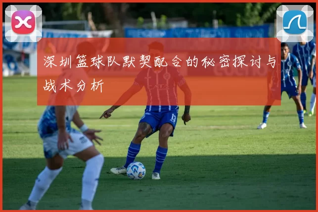 深圳篮球队默契配合的秘密探讨与战术分析
