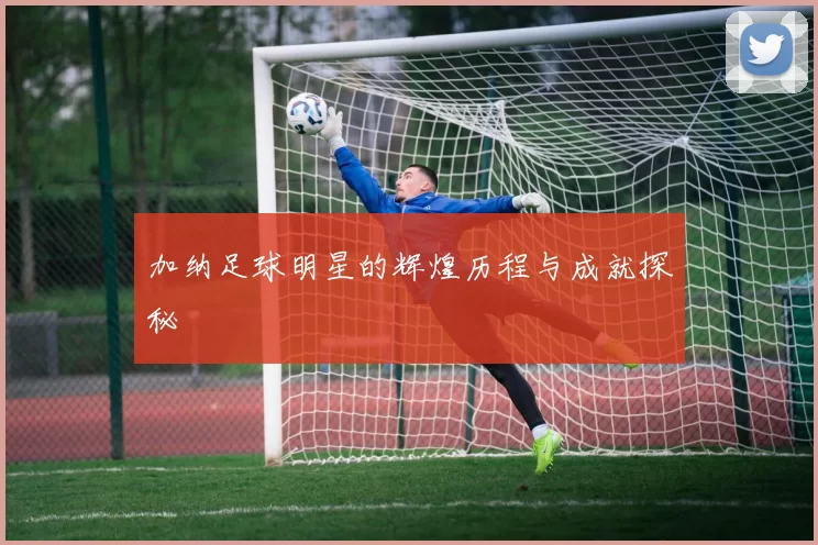 加纳足球明星的辉煌历程与成就探秘