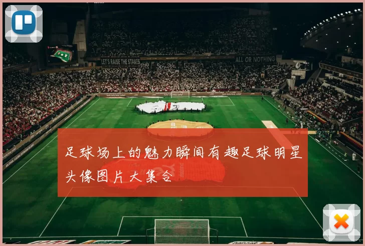 足球场上的魅力瞬间有趣足球明星头像图片大集合