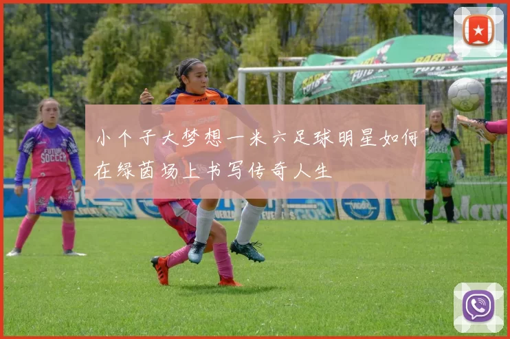 小个子大梦想一米六足球明星如何在绿茵场上书写传奇人生