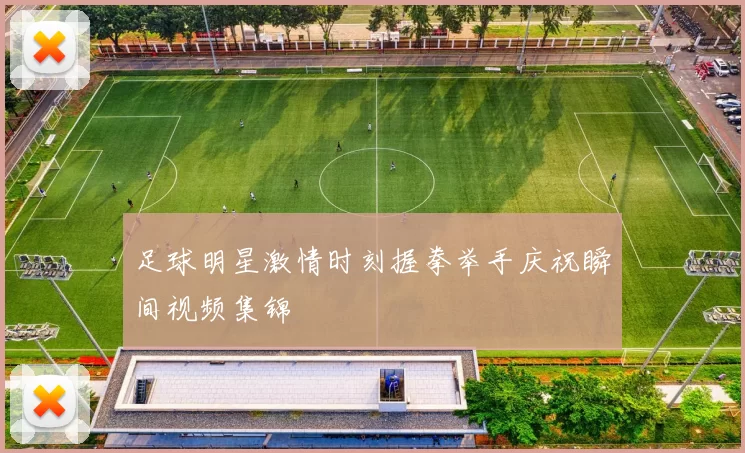 足球明星激情时刻握拳举手庆祝瞬间视频集锦