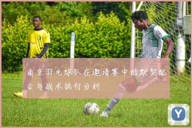 南京羽毛球队在邀请赛中的默契配合与战术执行分析