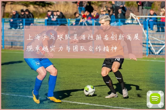 上海乒乓球队灵活性排名创新高展现卓越实力与团队合作精神
