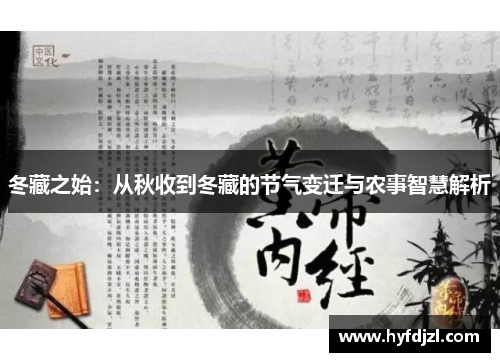 冬藏之始：从秋收到冬藏的节气变迁与农事智慧解析